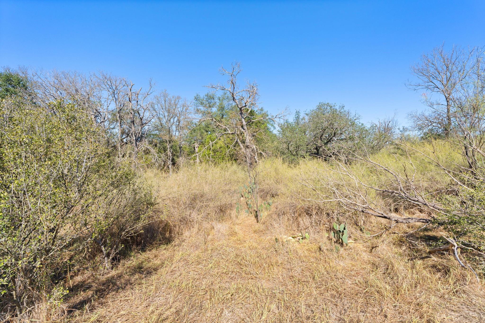 TBD - Lot 1 Sandy Mountain DR
