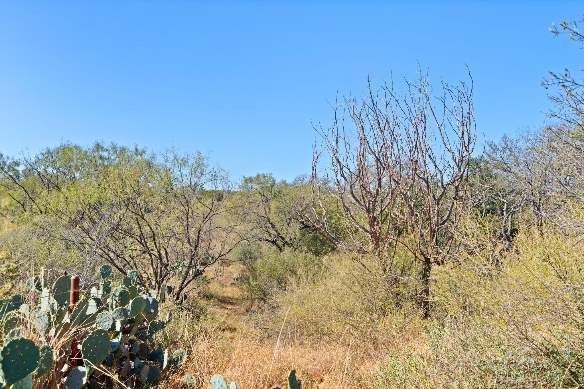 TBD - Lot 1 Sandy Mountain DR