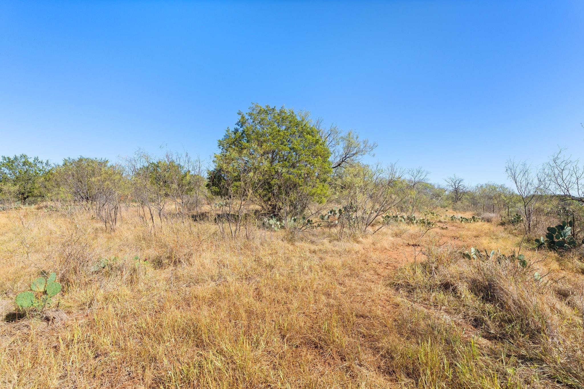 TBD - Lot 1 Sandy Mountain DR