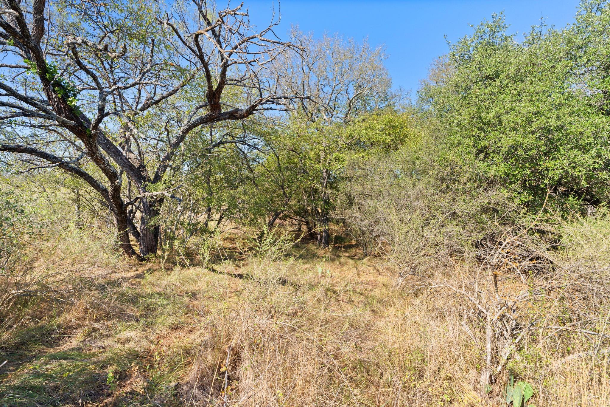 TBD - Lot 1 Sandy Mountain DR