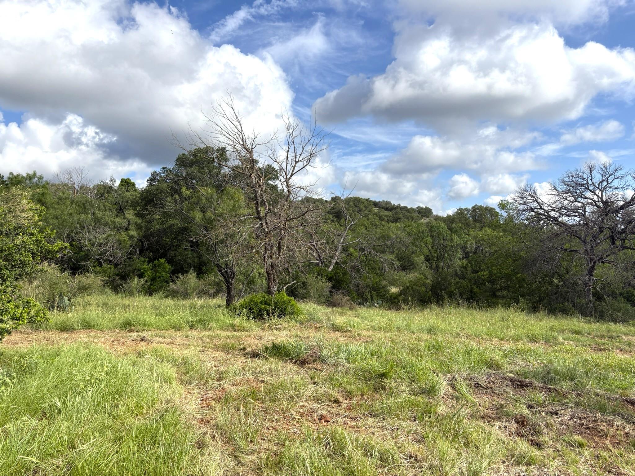 TBD - Lot 4 Sandy Mountain DR
