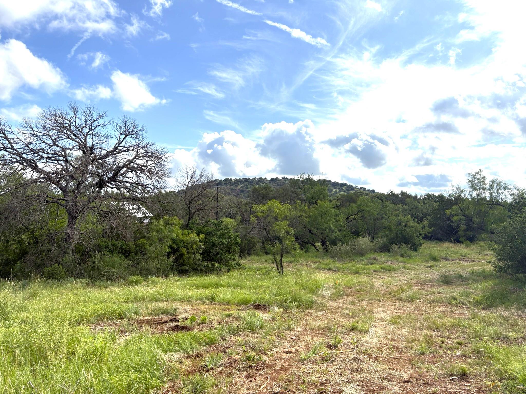 TBD - Lot 4 Sandy Mountain DR