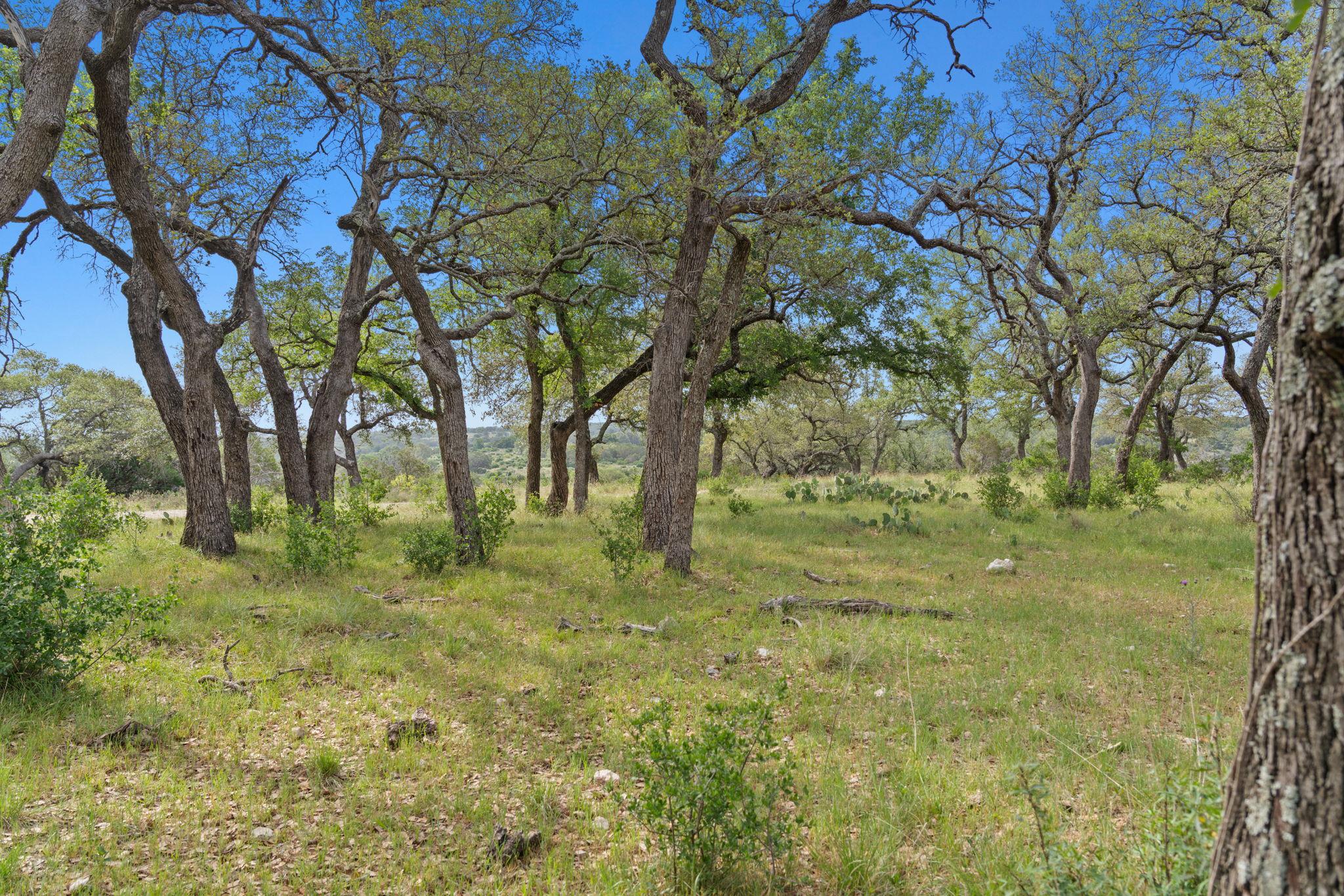Bluff Creek Ranch