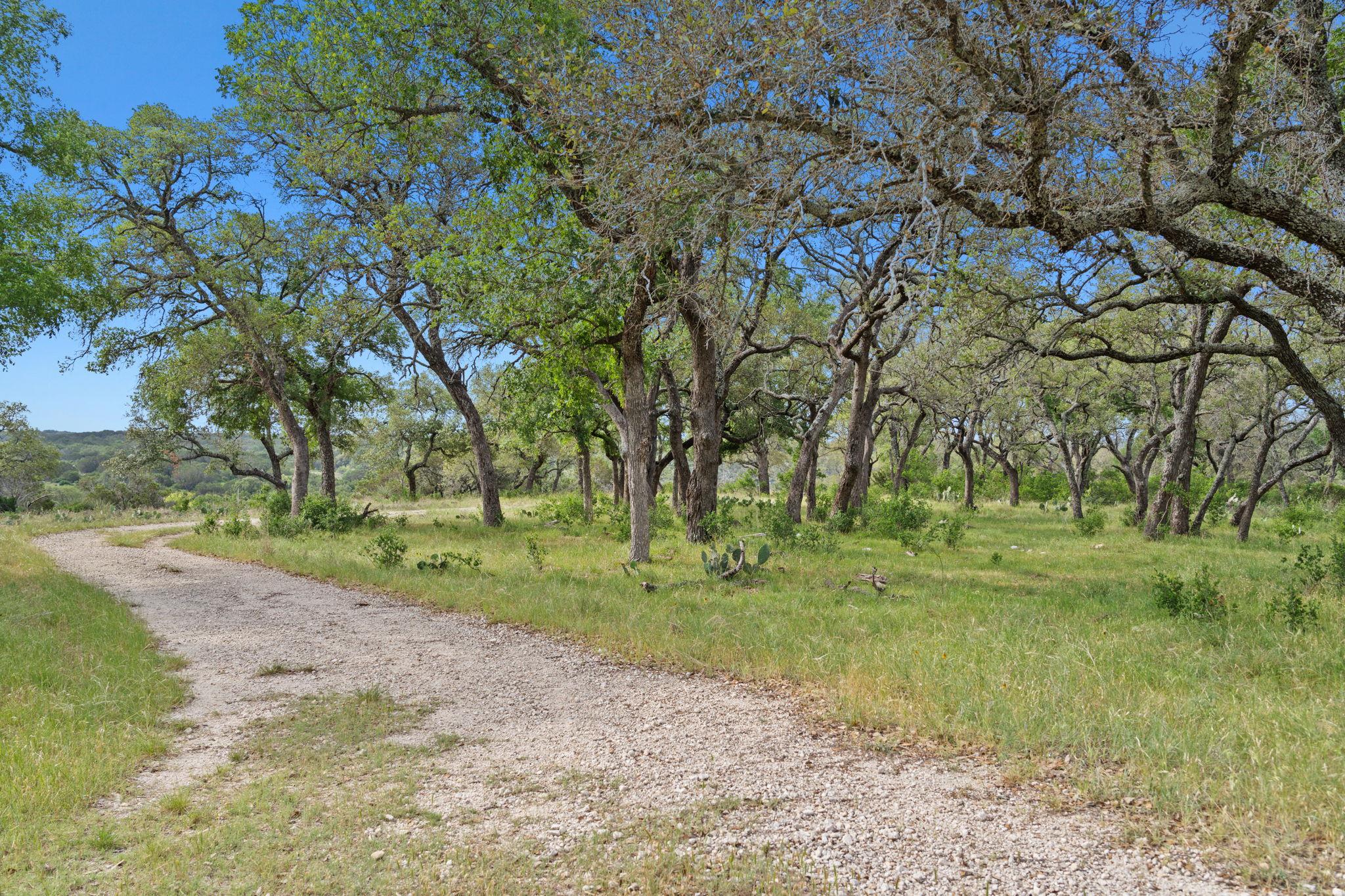 Bluff Creek Ranch