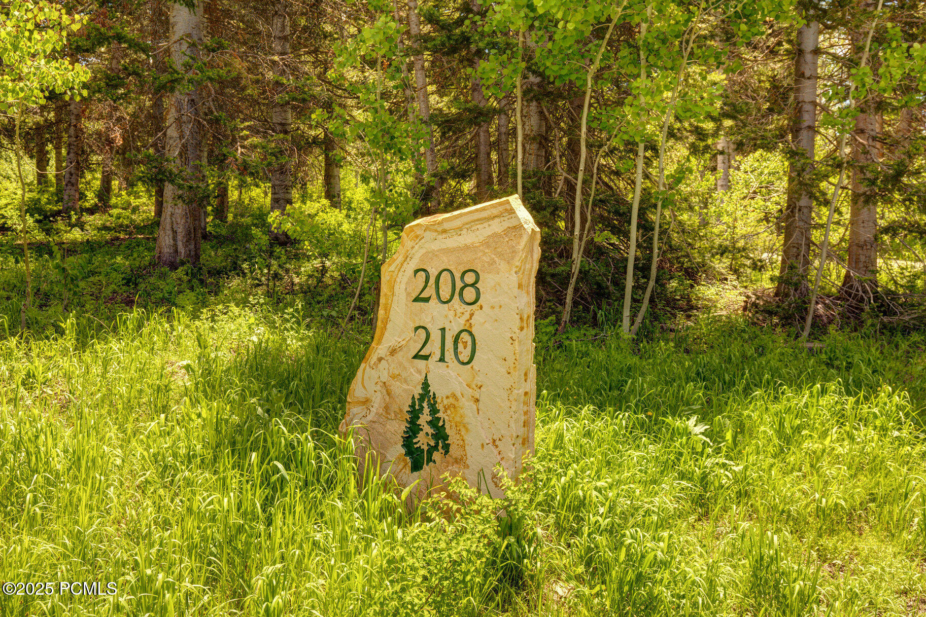 208 White Pine Canyon Road