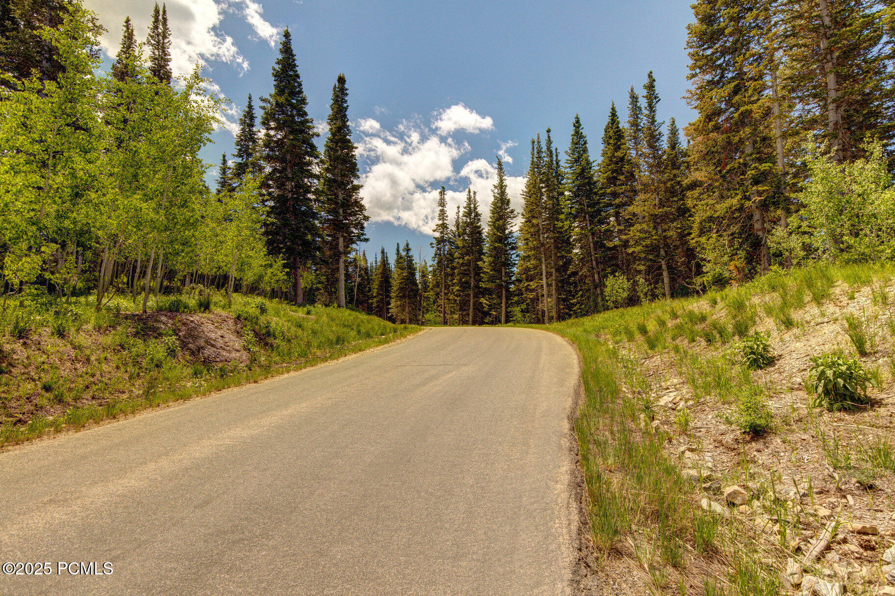 208 White Pine Canyon Road