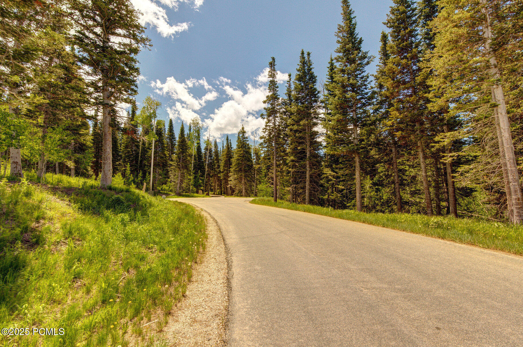 208 White Pine Canyon Road