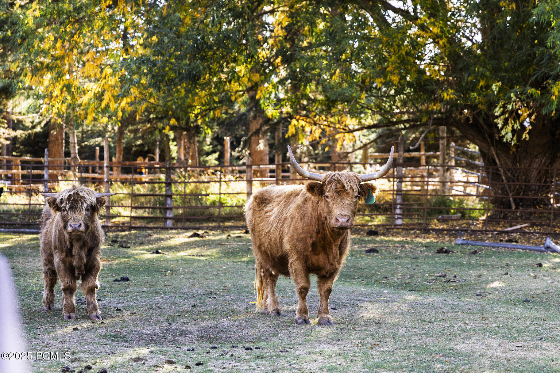 2555 S 3600 West, Heber City