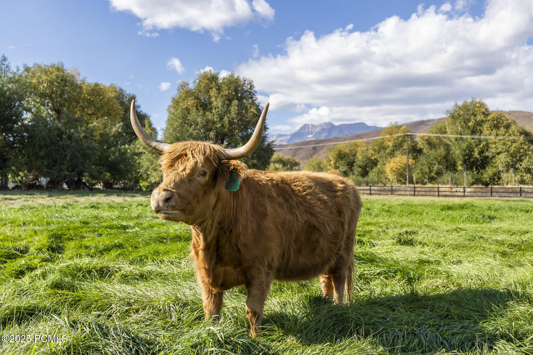 2555 S 3600 West, Heber City