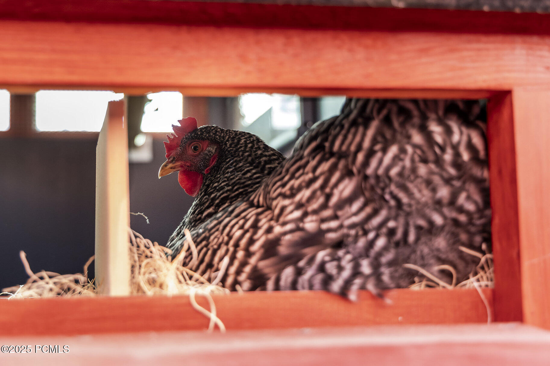 2555 S 3600 West, Heber City