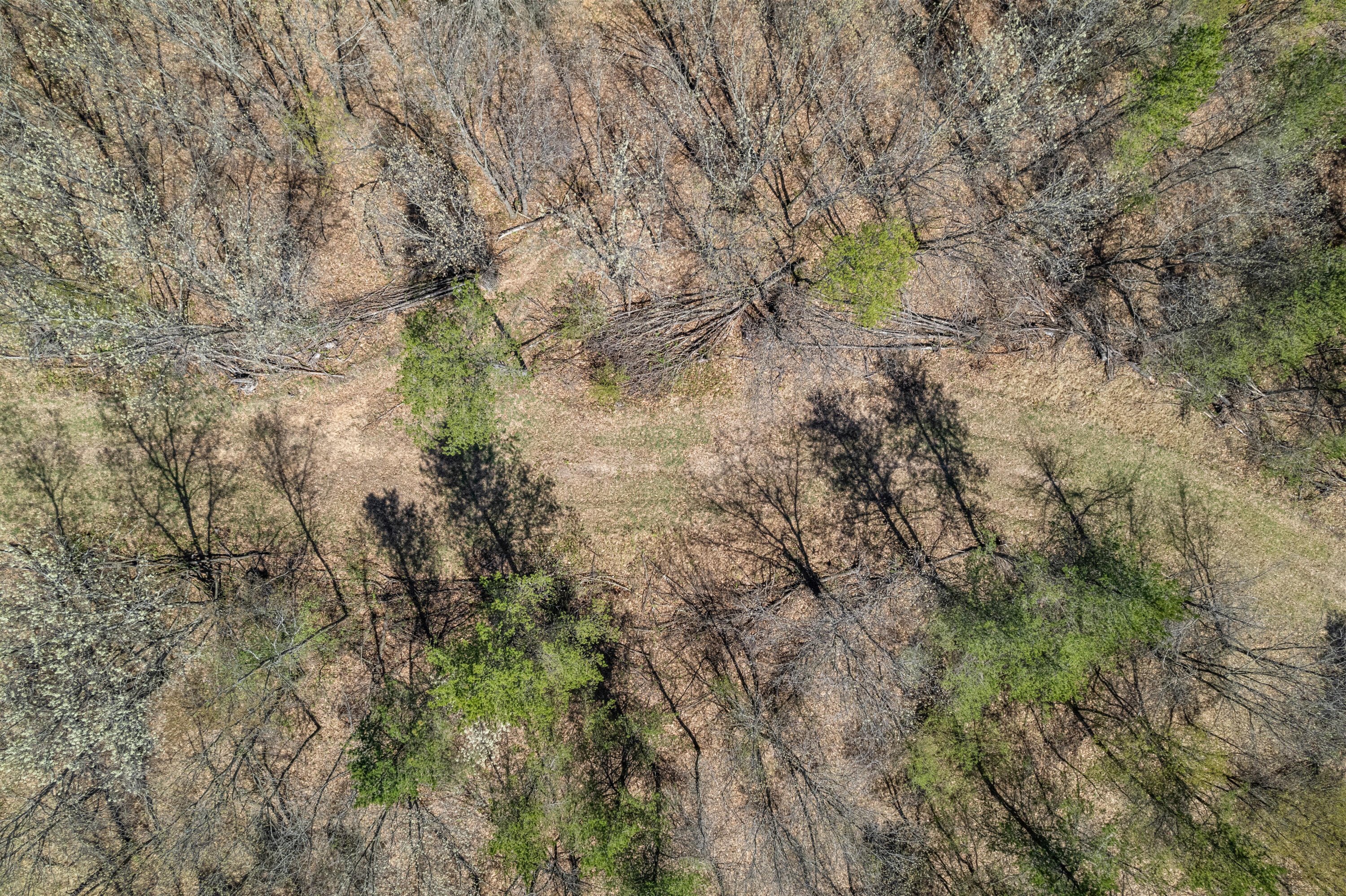 0 Jargon Ave, Lot 5