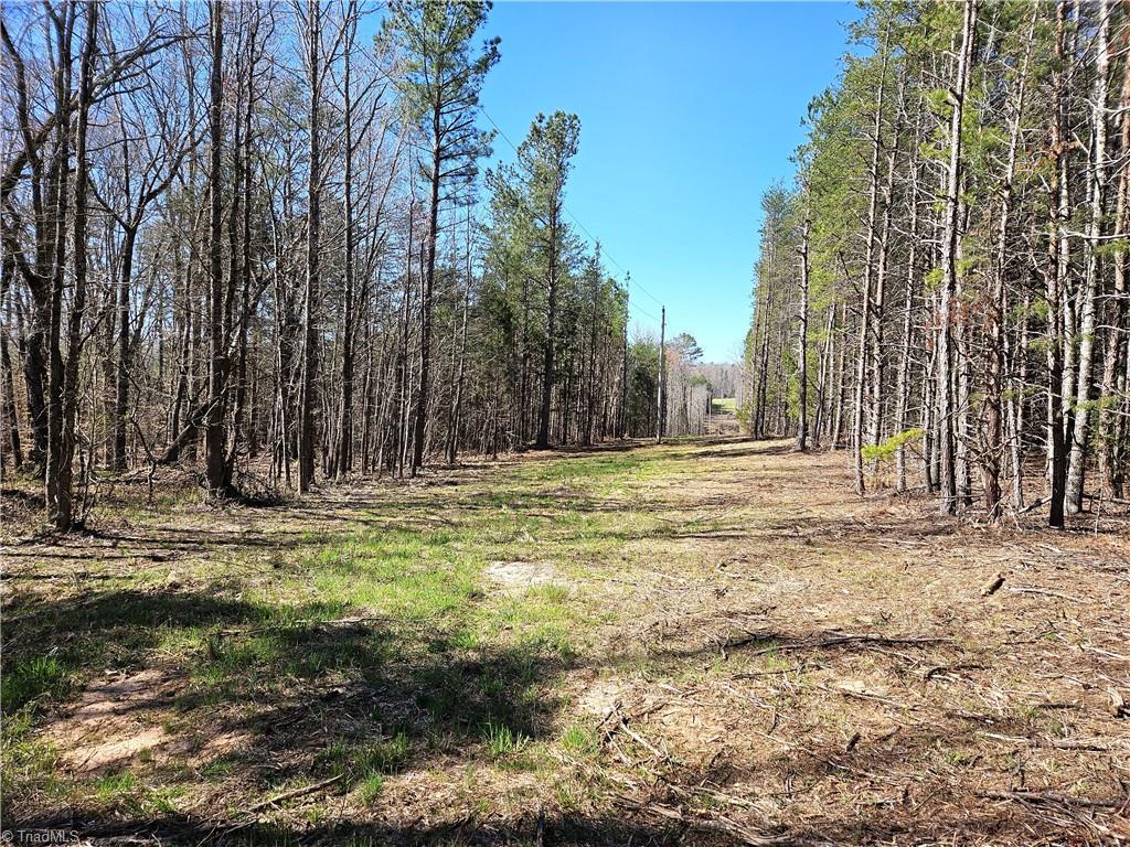 #3 5.16 acres Hampton Road