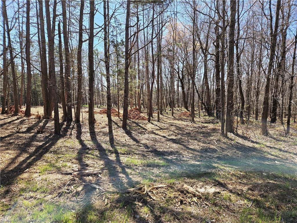 #3 5.16 acres Hampton Road