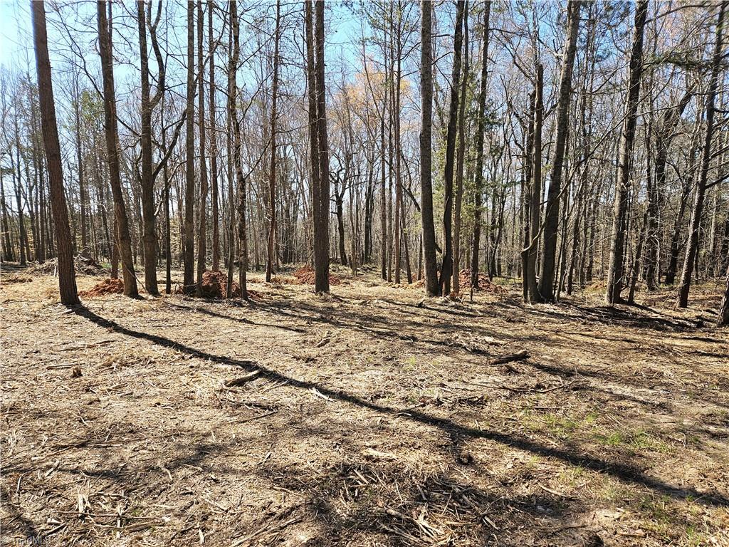 #3 5.16 acres Hampton Road