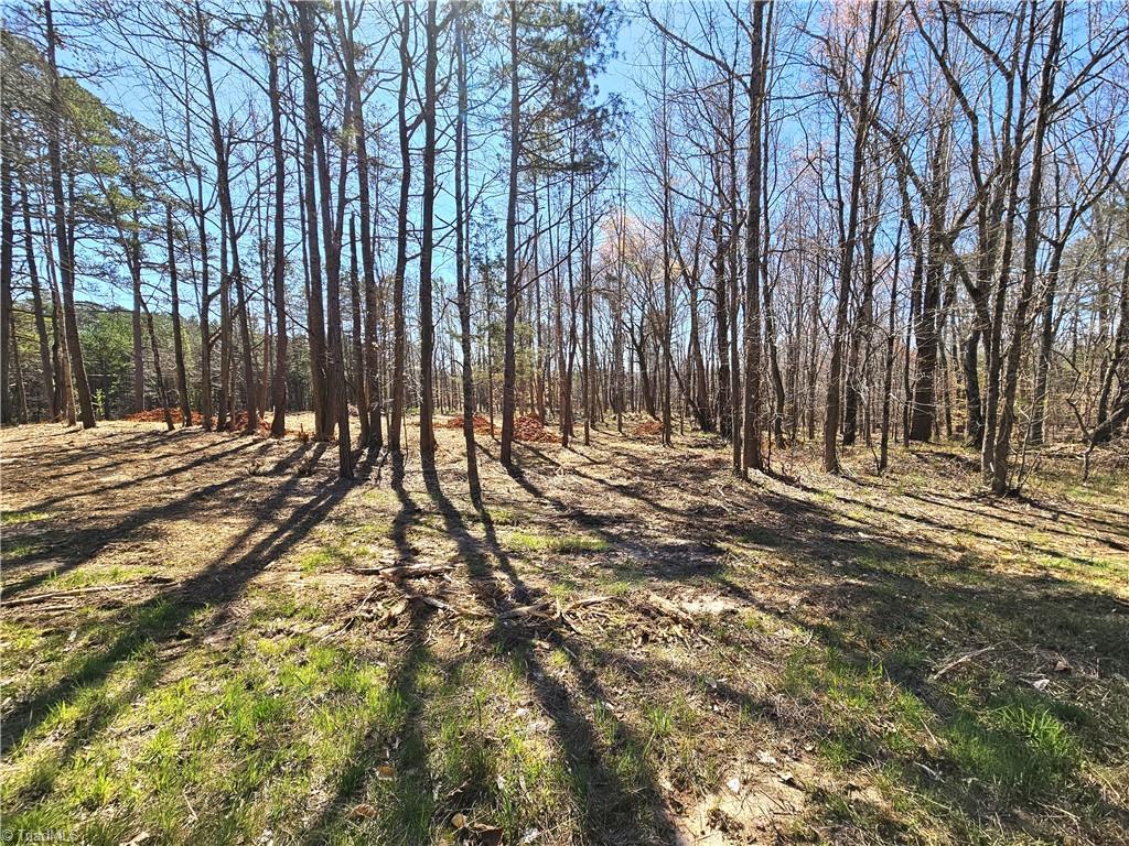 #3 5.16 acres Hampton Road