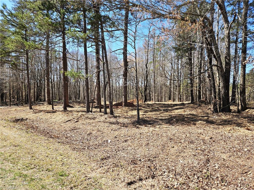 #3 5.16 acres Hampton Road