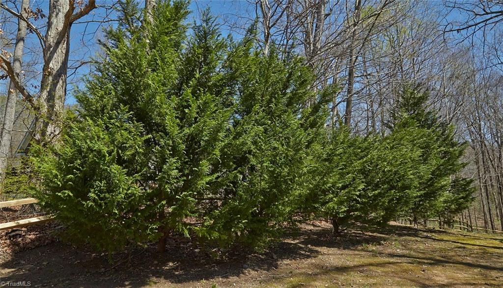 8117 Chestershire Road