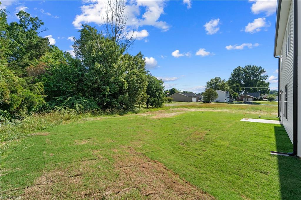 8117 Reynolda Road