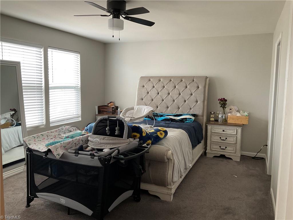 5835 Springer Drive