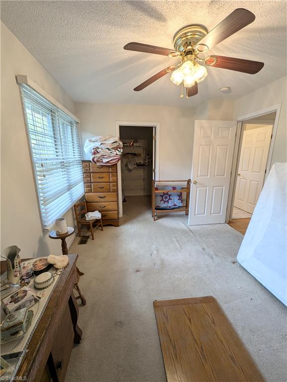 404 Etta Lane