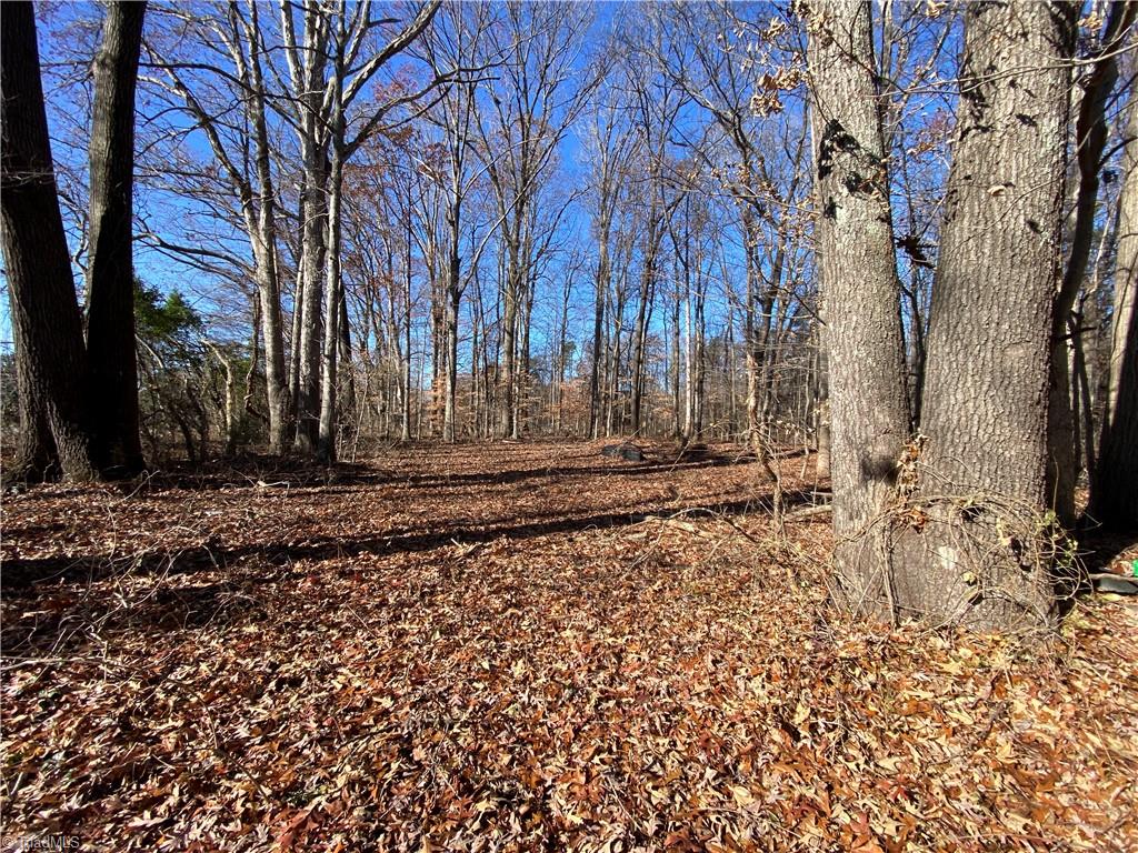 2606 Georgette Drive