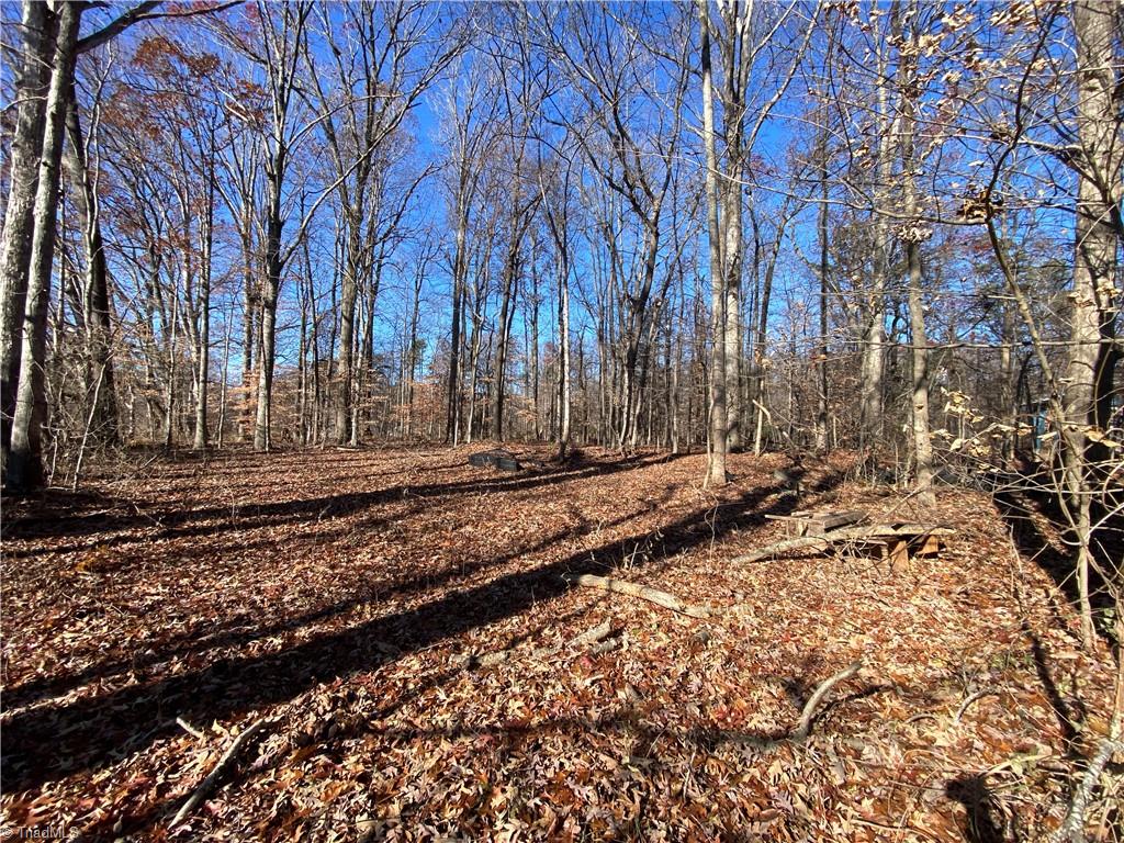 2606 Georgette Drive