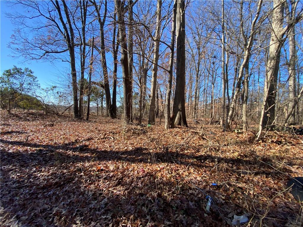 2606 Georgette Drive