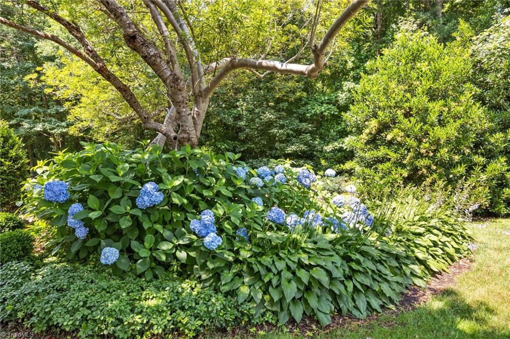 3410 Northline Avenue # B