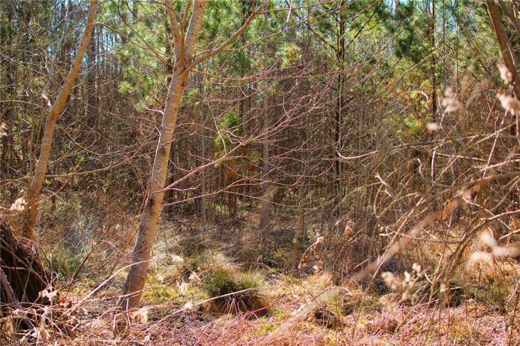 0 Twinwood Drive, Trinity