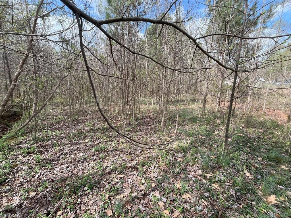 0 Twinwood Drive, Trinity