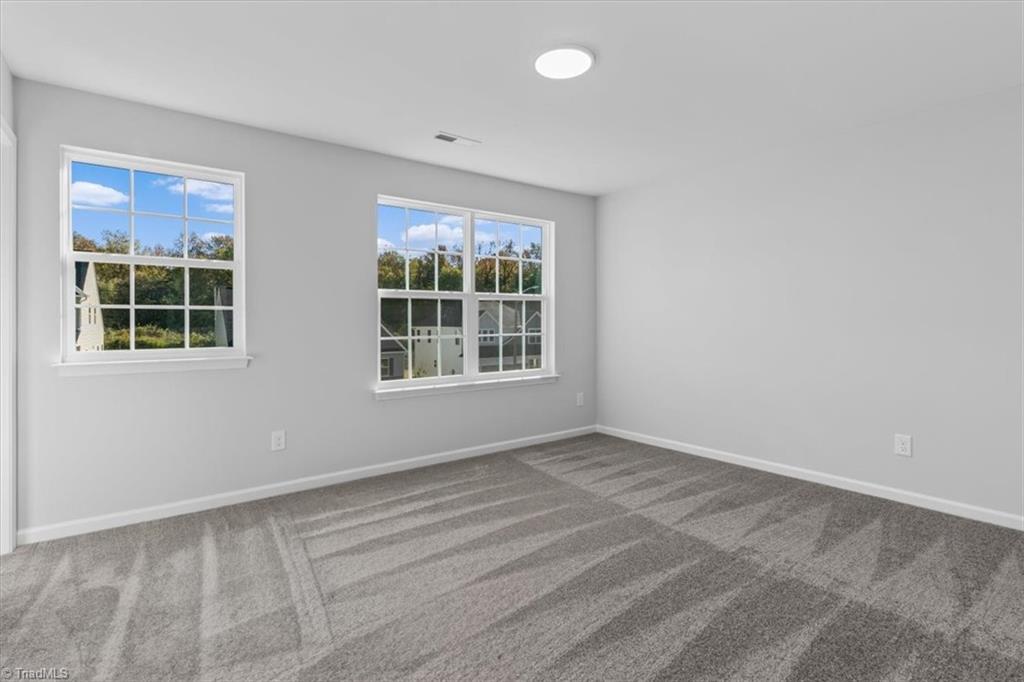 4095 Stallion Street Lot 19