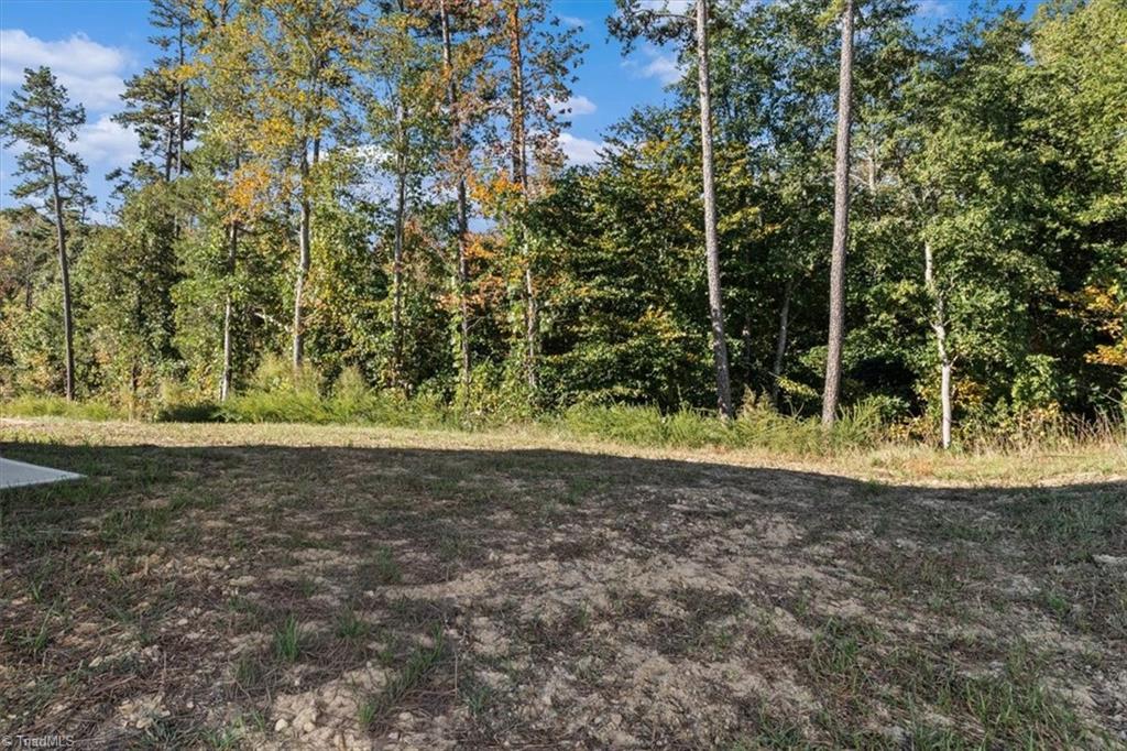 4095 Stallion Street Lot 19