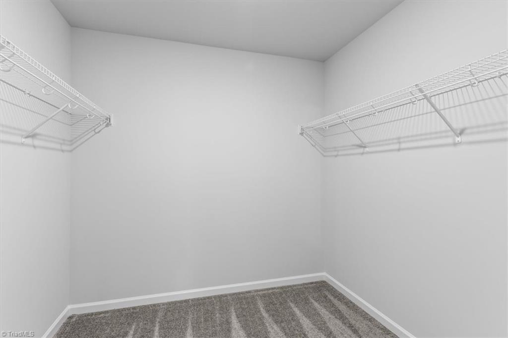 4095 Stallion Street Lot 19
