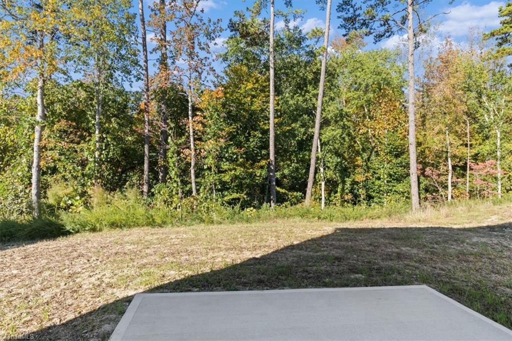 4095 Stallion Street Lot 19