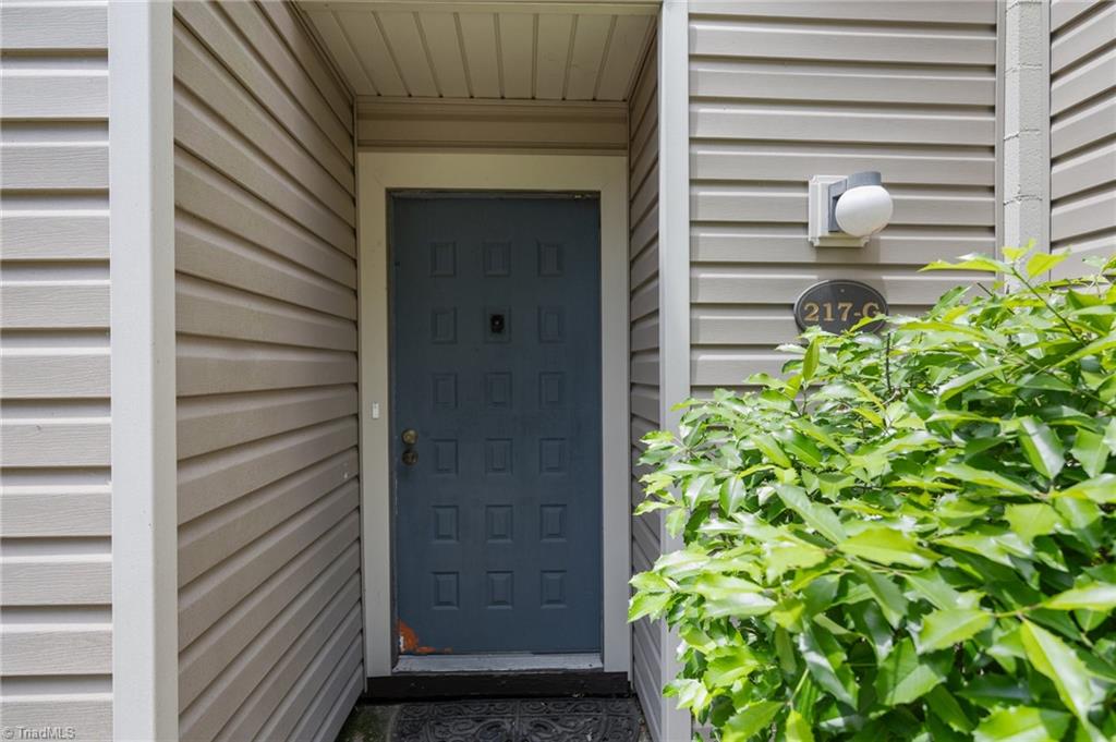 217 Village Lane # G