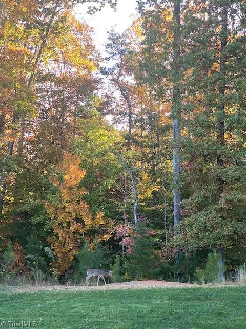 1117 Magenta Way, Kernersville