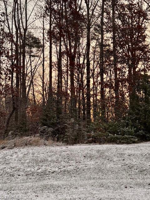 1117 Magenta Way, Kernersville