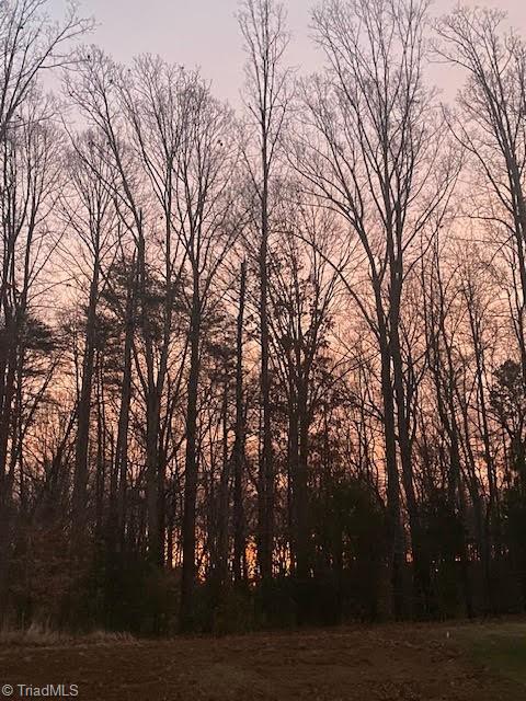 1117 Magenta Way, Kernersville