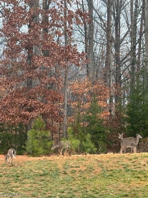 1117 Magenta Way, Kernersville