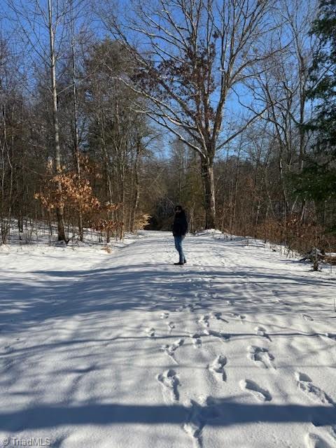 1117 Magenta Way, Kernersville