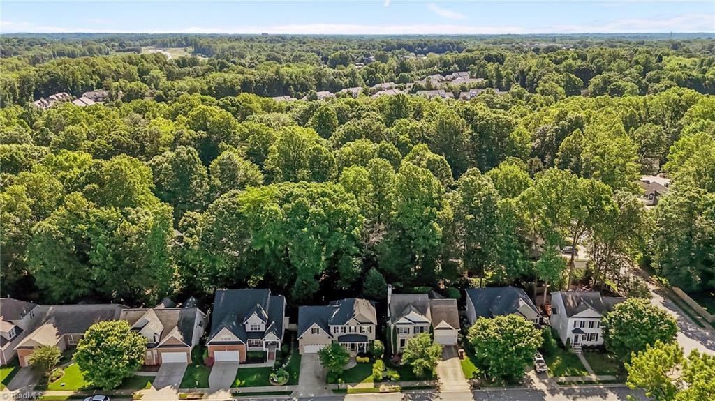 4206 Peppervine Trail