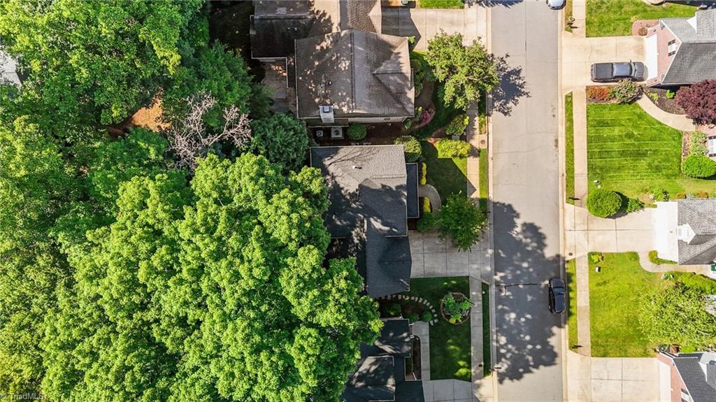 4206 Peppervine Trail
