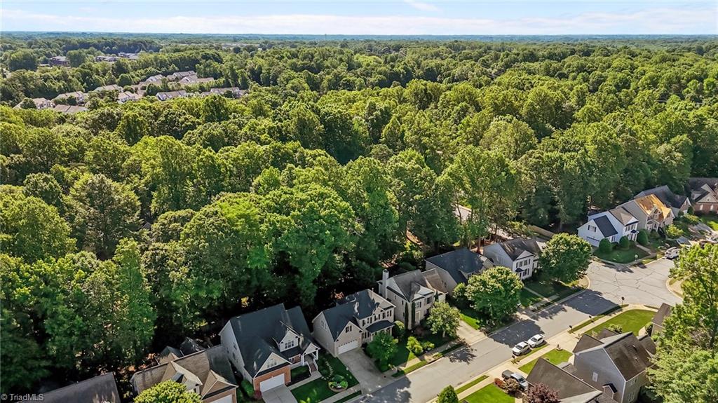 4206 Peppervine Trail