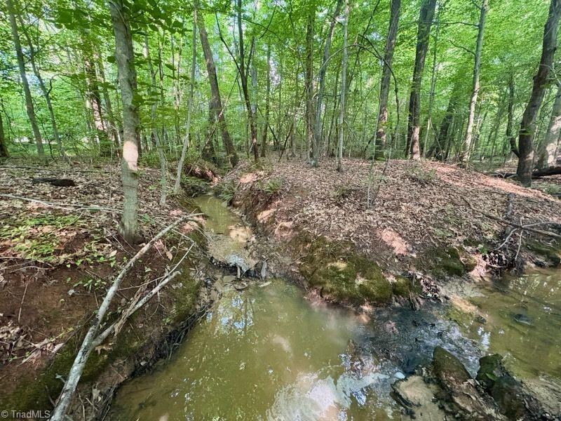 134 Stones Point Court