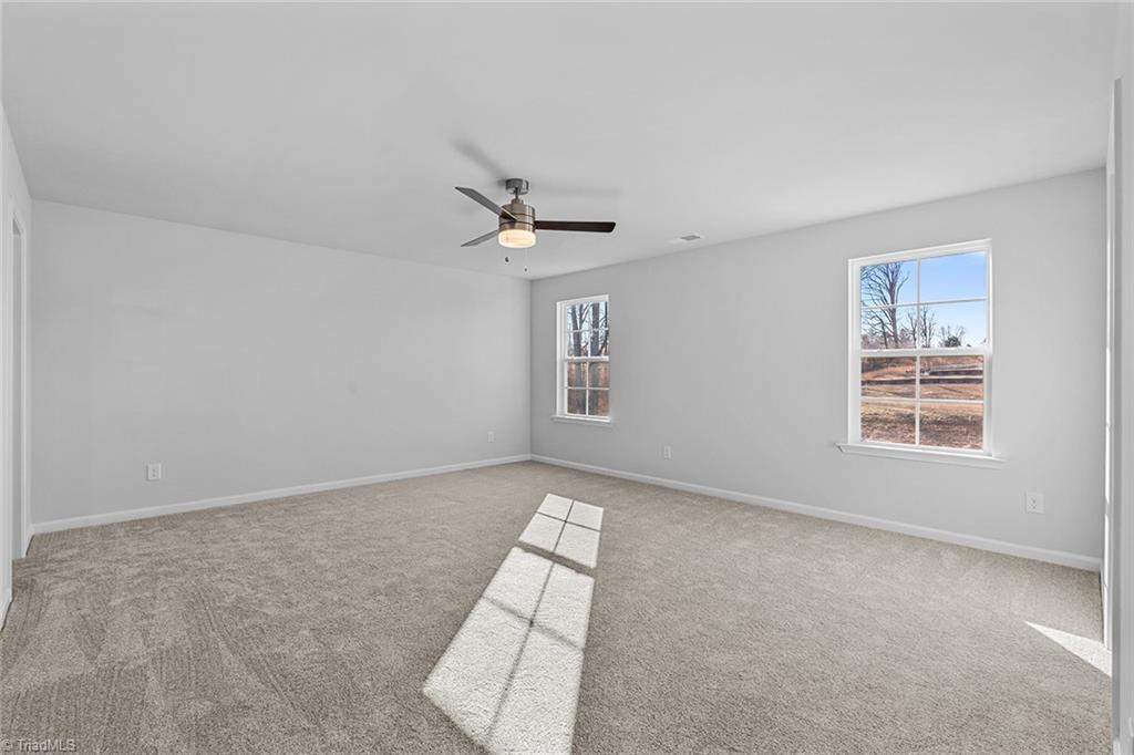 261 Lavender Lane
