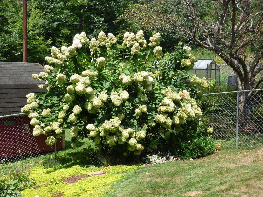 1319 E Allred Street