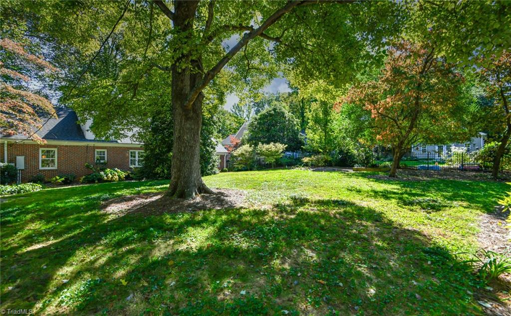 223 Avondale Drive, Greensboro