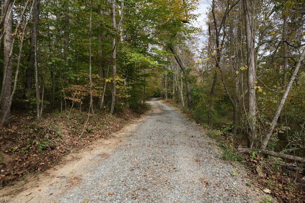 731 Mineral Springs Road