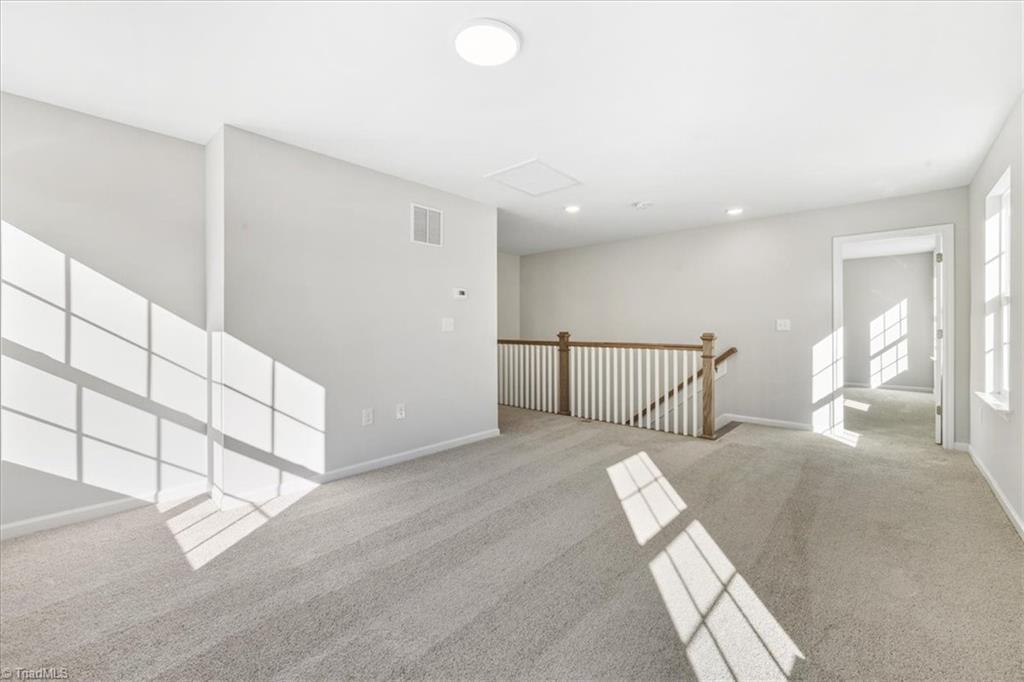 4244 Canter Creek Lane # 96