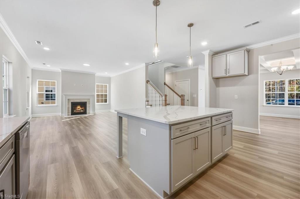 4244 Canter Creek Lane # 96
